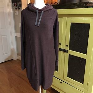 Toad &Co Hoodie Dress